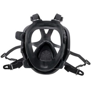 CleanAIR GX02 Full Face Mask