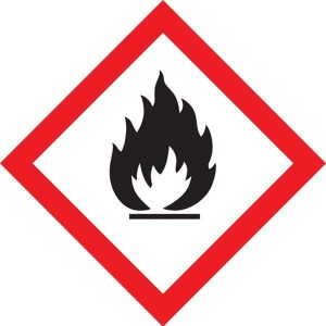 DG Diamond – Class 2 Flammable Gas Pictogram